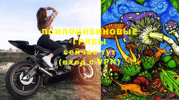 шишки Навашино