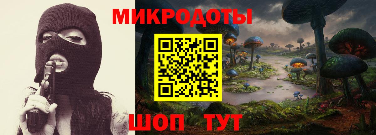 Чебоксары  Галлюциногенные грибы Psilocybe  где продают наркотики  Вход с VPN 